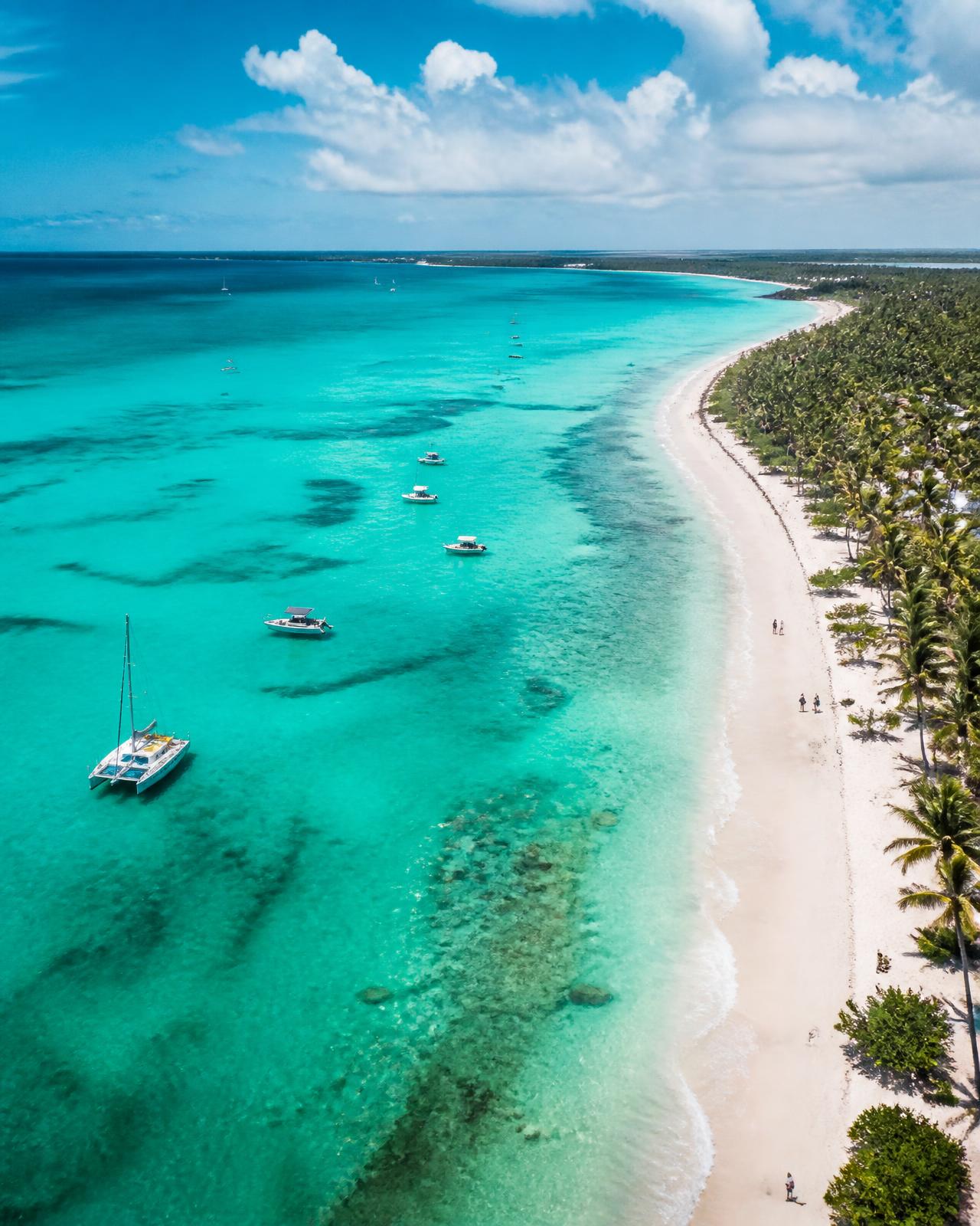 Turquoise Caribbean water along a palm-lined coast